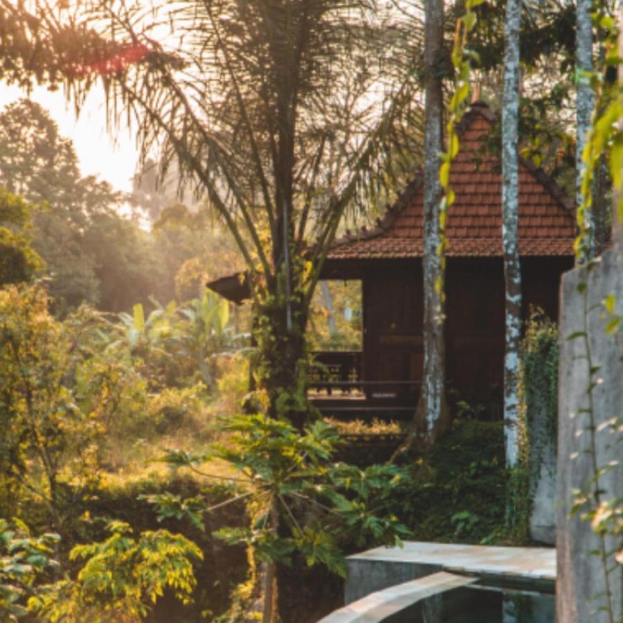 The Jungle Villa Ubud Exterior foto