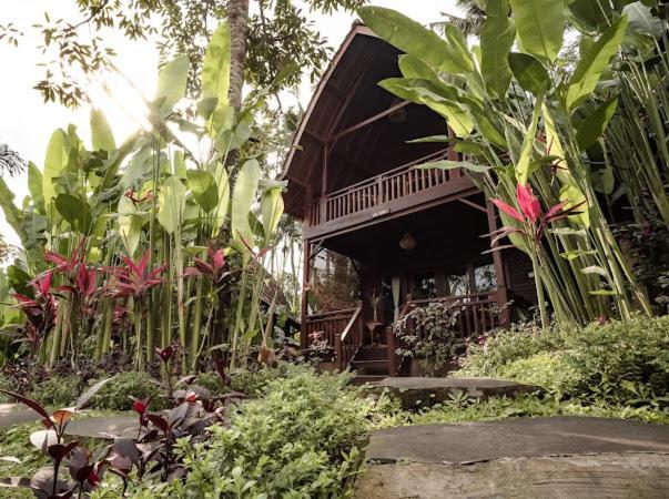 The Jungle Villa Ubud Exterior foto